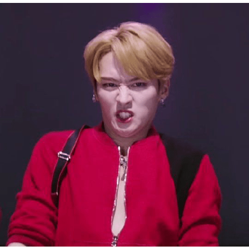 Straykids 6