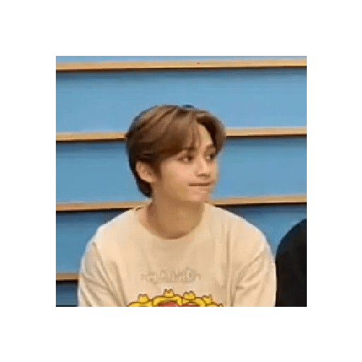 Straykids 15