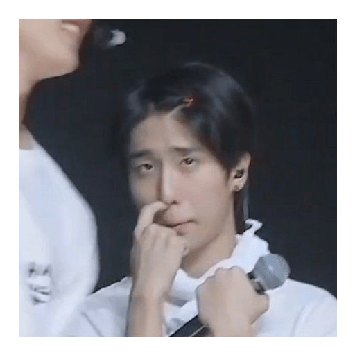 Straykids 12