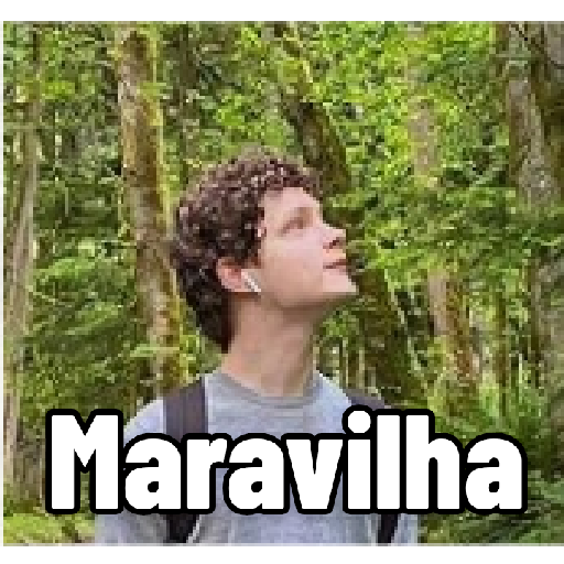 Febatista 2.0 4