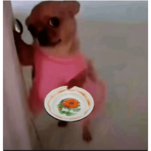 Perritos 2