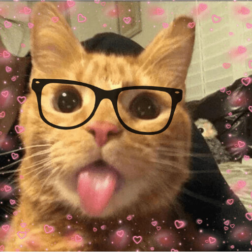Amor de Michis Tuneado 🐱💕 11
