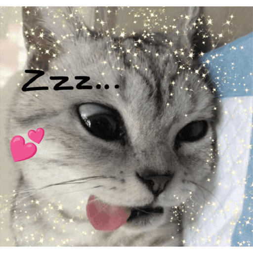 Amor de Michis Tuneado 🐱💕 20