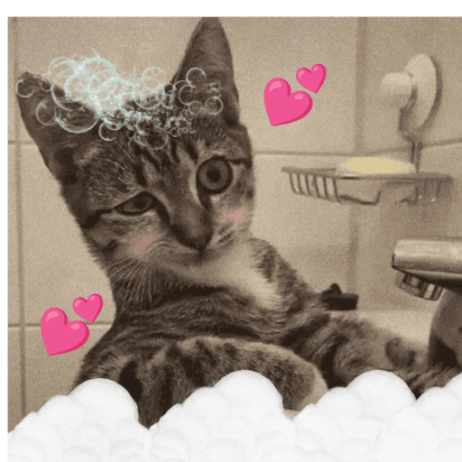 Amor de Michis Tuneado 🐱💕 7
