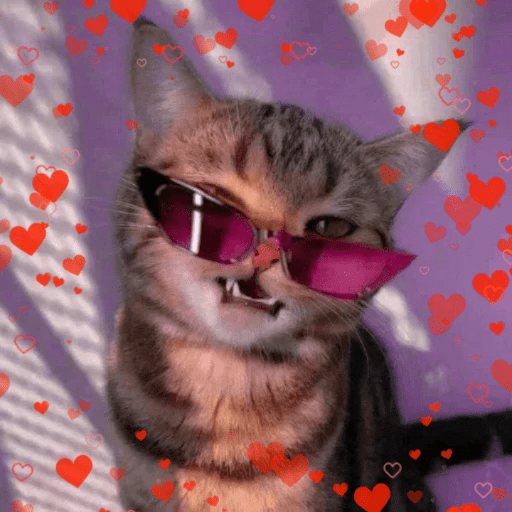 Amor de Michis Tuneado 🐱💕 5