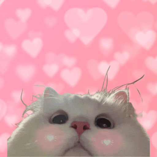 Amor de Michis Tuneado 🐱💕 9