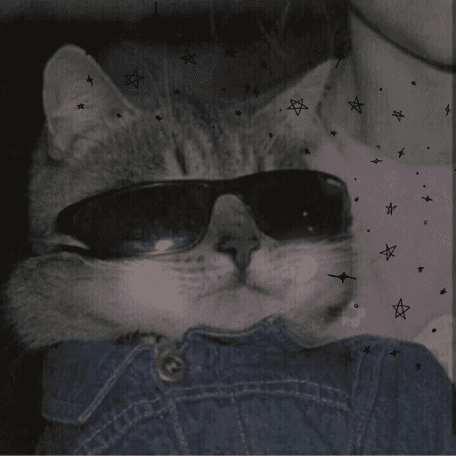 Amor de Michis Tuneado 🐱💕 17