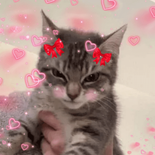 Amor de Michis Tuneado 🐱💕 3