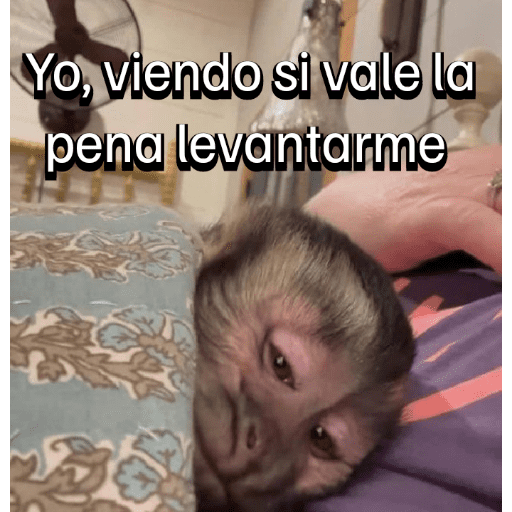 Monitos para el chat💬🐵 5