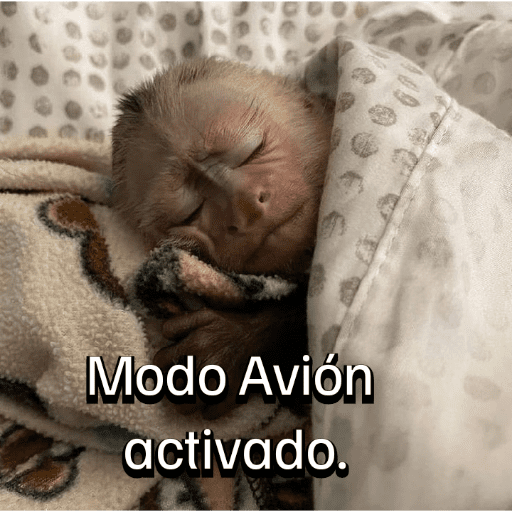 Monitos para el chat💬🐵 4