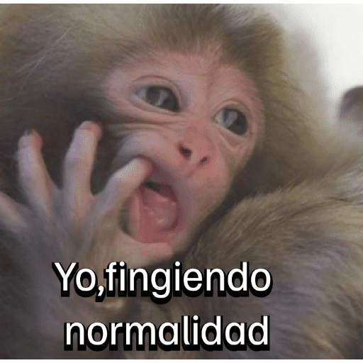 Monitos para el chat💬🐵 3