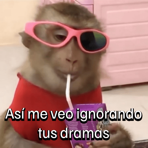 Monitos para el chat💬🐵 12