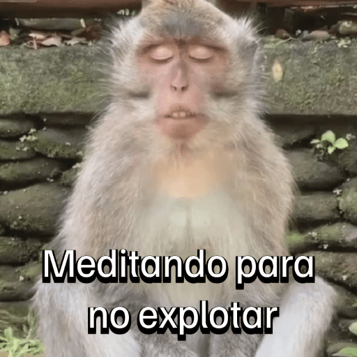 Monitos para el chat💬🐵 13