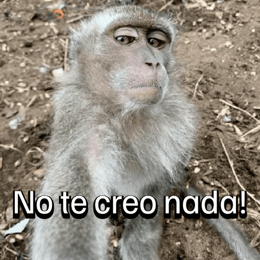 Monitos para el chat💬🐵 15