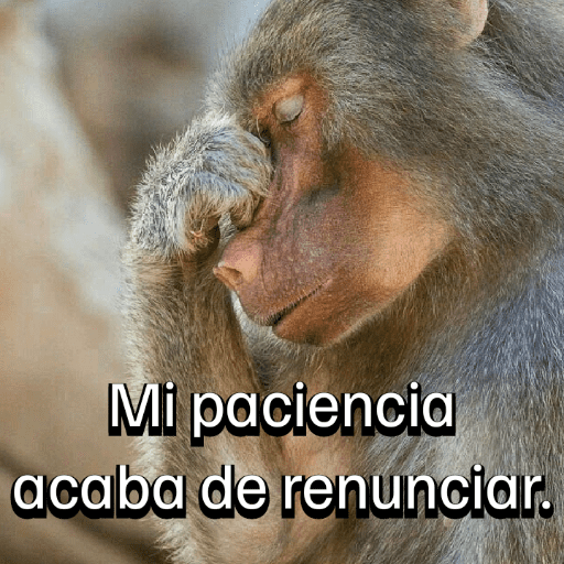 Monitos para el chat💬🐵 16
