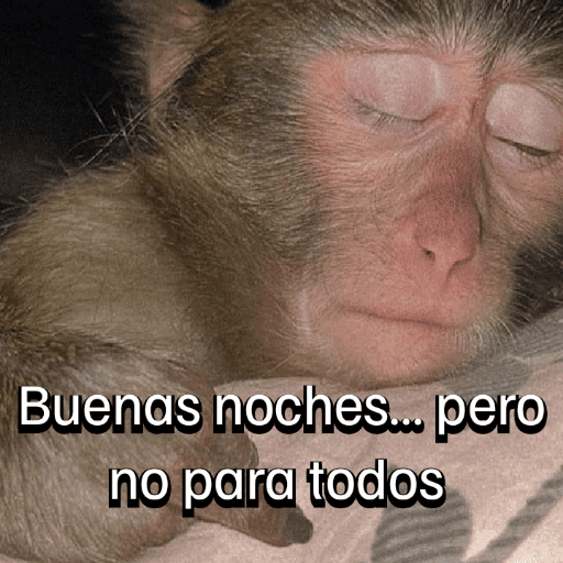 Monitos para el chat💬🐵 6