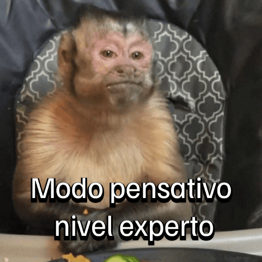 Monitos para el chat💬🐵 8