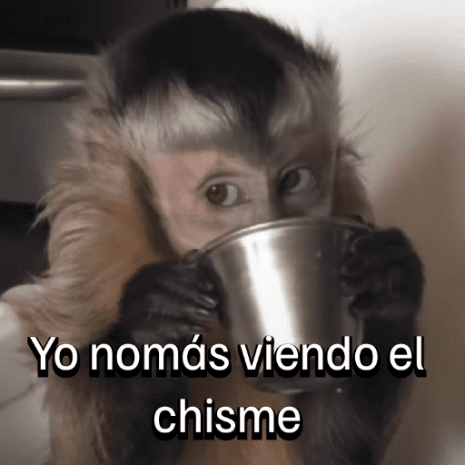 Monitos para el chat💬🐵 10