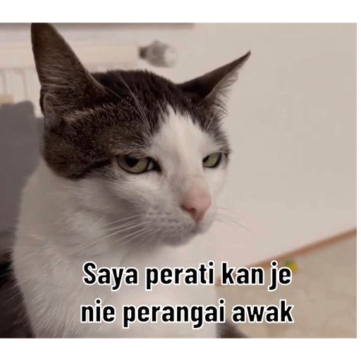 Yankekskeke 5