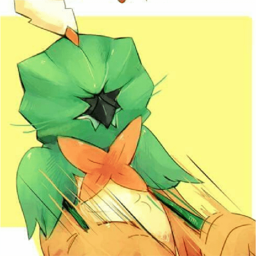 Decidueye 🍃🏹🦉 27
