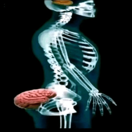 స్టికర్