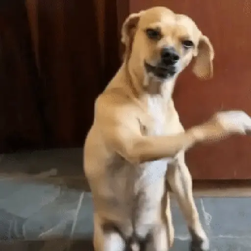 Tiktok reaction meme viral 💜 13