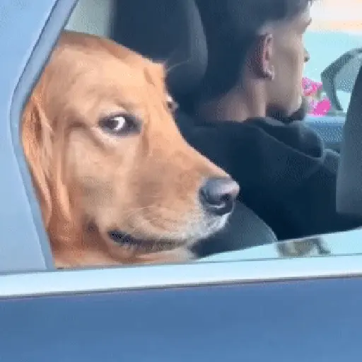 Tiktok reaction meme viral 💜 4