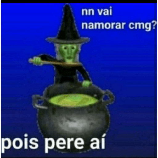 Pinguim 16