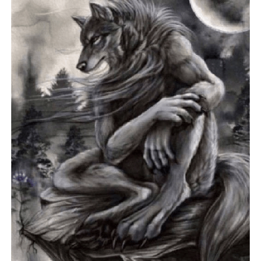 Lobos solitarios xdxdxd 12