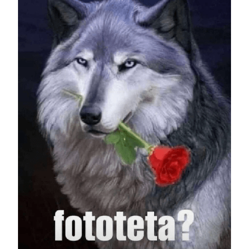 Lobos solitarios xdxdxd 13