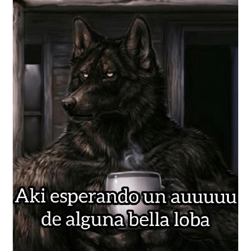 Lobos solitarios xdxdxd 3