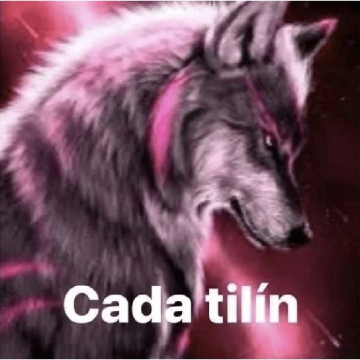 Lobos solitarios xdxdxd 4