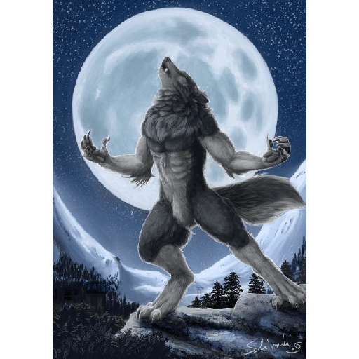 Lobos solitarios xdxdxd 7