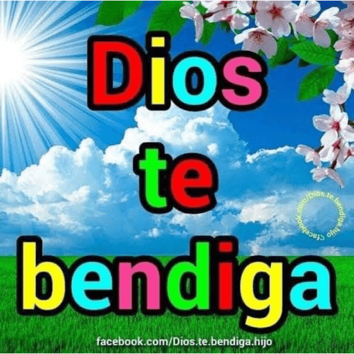 Weas q pienso  5