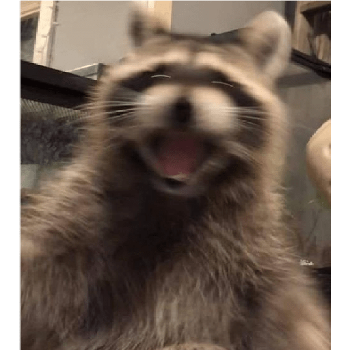Animales aesthetic 2.0 5