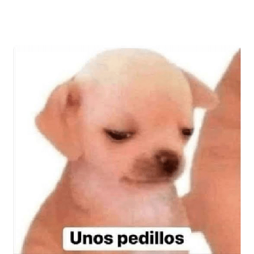 Animales aesthetic 2.0 22