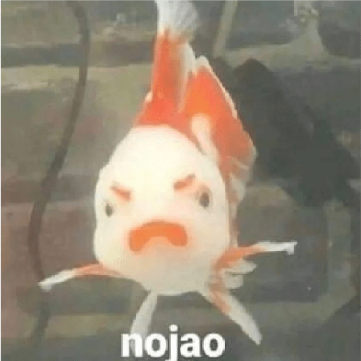 Animales aesthetic 2.0 21