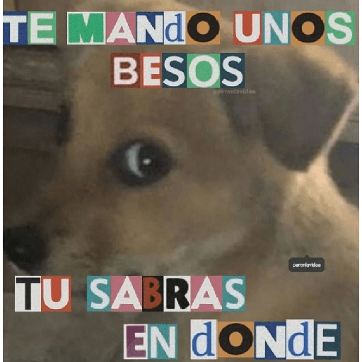Animales aesthetic 2.0 30