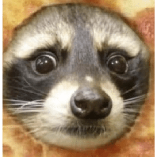 Animales aesthetic 2.0 12