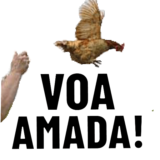 Aleatorio 2