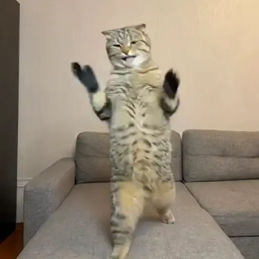 스티커