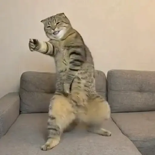 스티커