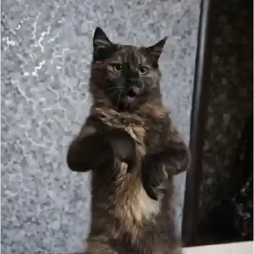 스티커