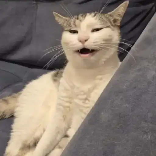 스티커