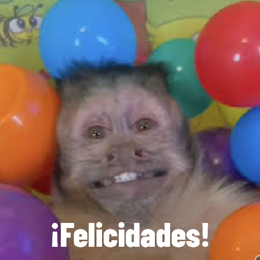 Changuitos 🐵🐒 7