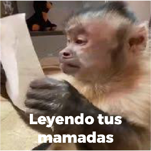 Changuitos 🐵🐒 11