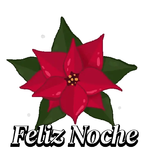 Merry Christmas 🎄 Navidad   26
