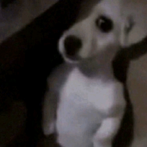 Random tiktok 💥 20