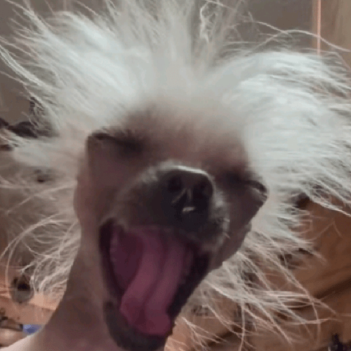 Random tiktok 💥 12