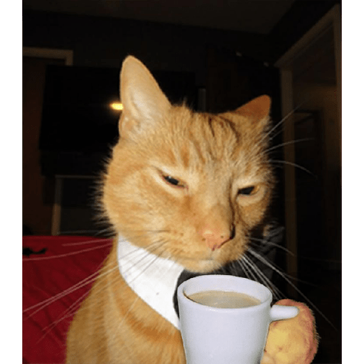 Cat'$ 1